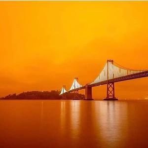 Meet your Posher, Scarlett